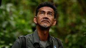 Hutan worker looks up at jungle